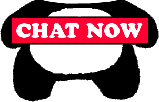 Webcam chat free